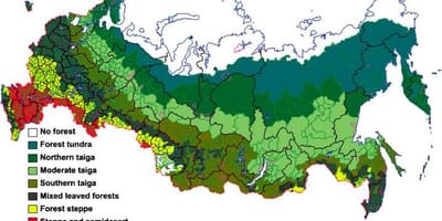 Russische woud kaart
