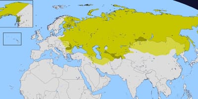 Kaart van het russische rijk